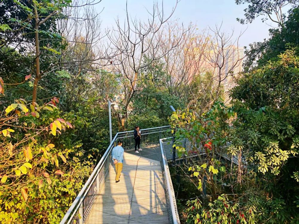 鳳嶺公園鳳嶺公園開發歷史悠久這裡遠眺樹木蔥蘢,凝翠疊綠腳下濃陰