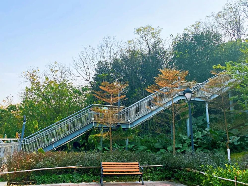 就能擁抱最清新的自然鳳嶺公園鳳嶺公園開發歷史悠久這裡遠眺樹木蔥蘢