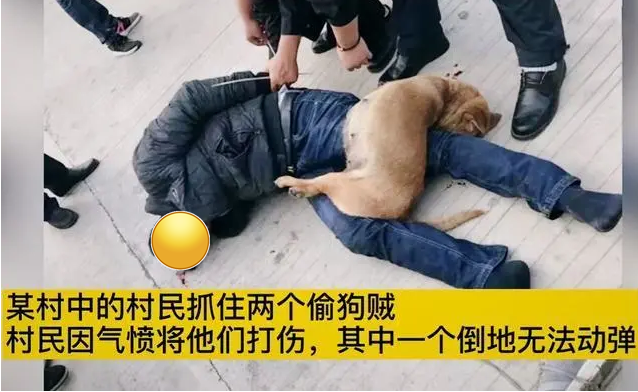 2名偷狗贼进村偷狗被抓遭村民暴打一人被打成重伤