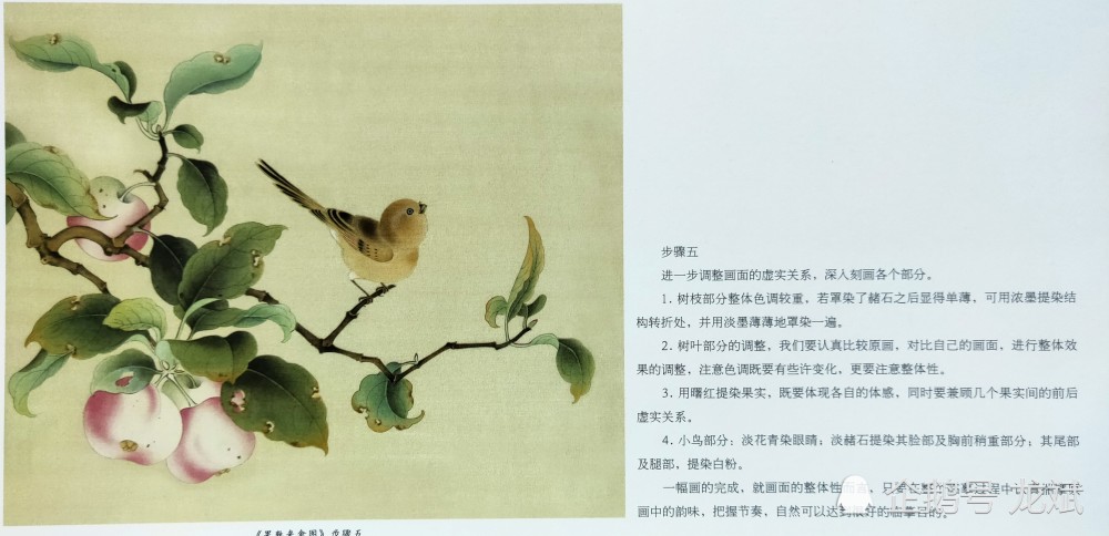 国画《果熟来禽图》简单五步绘画过程_腾讯新闻