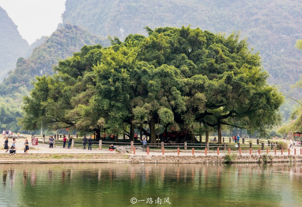 阳朔除了遇龙河，还有条金宝河，在著名