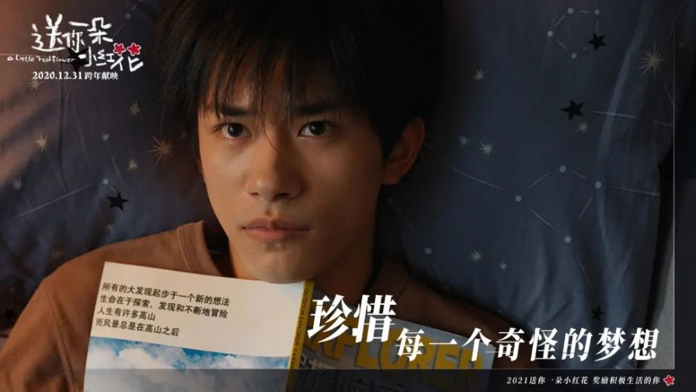 人为什么看电影为什么小红花票房总是好过拆弹专家2