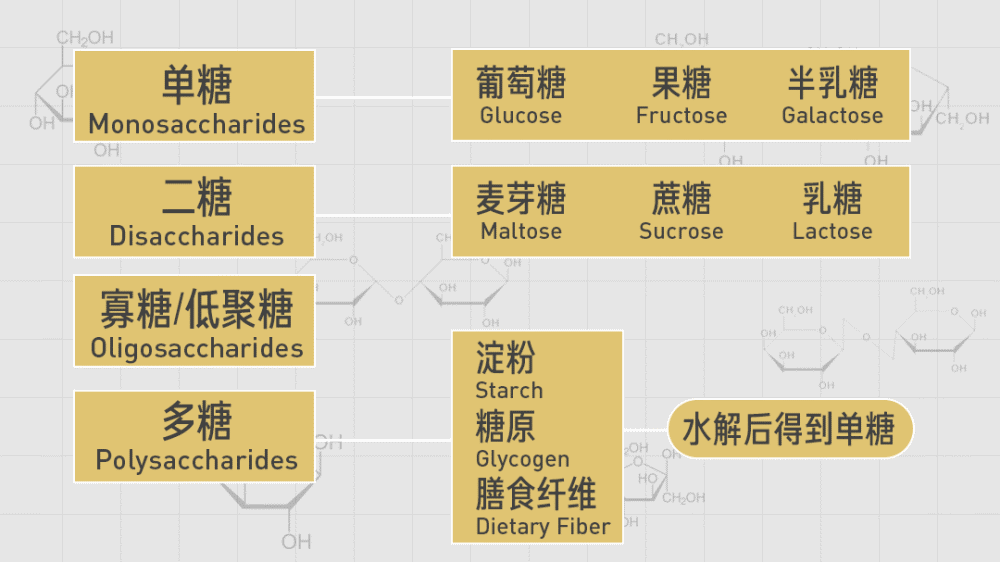 糖分 单糖,二糖,寡糖,多糖