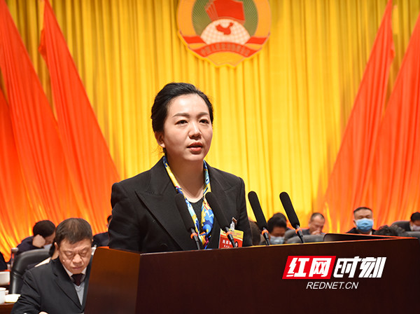 委员建言戴诗庭依托衡山禹文化根脉传承大禹文化精髓