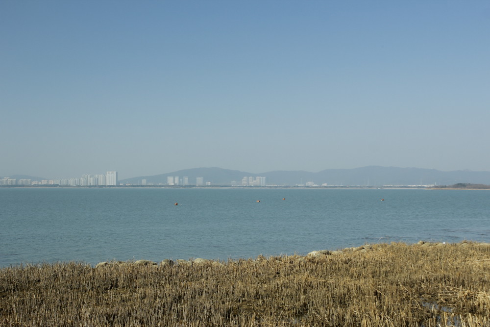 在苏州想看湖景首选苏州湾哟