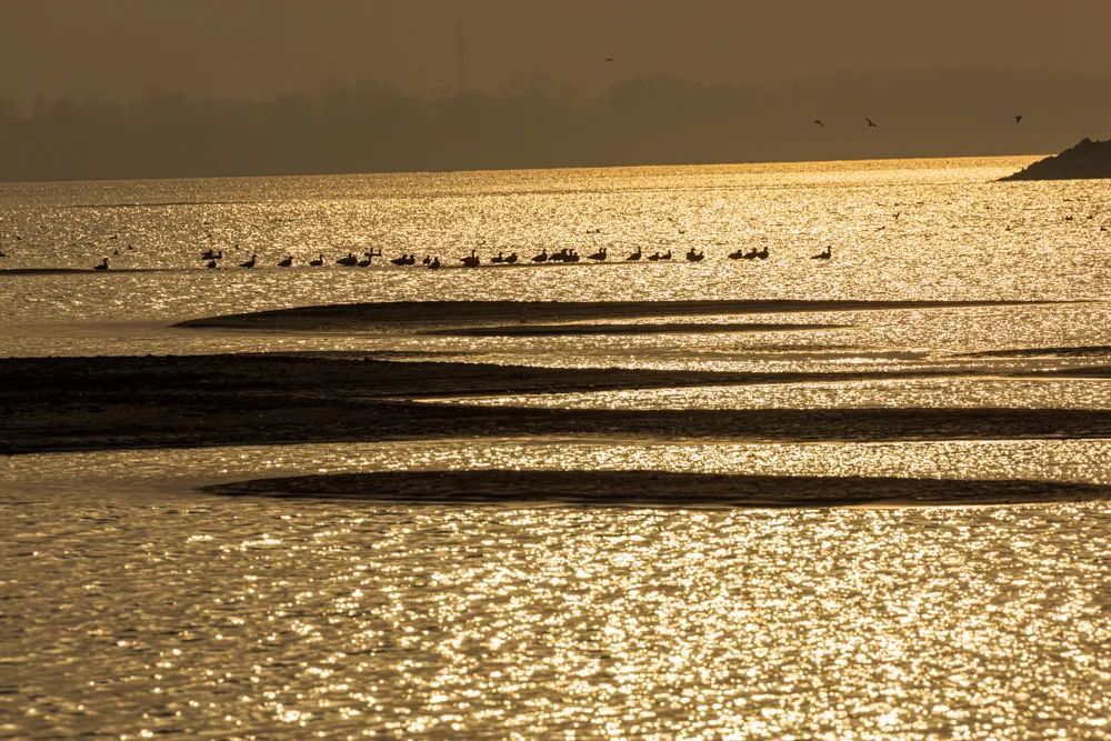 罗霍洲江滩,网红打卡地
