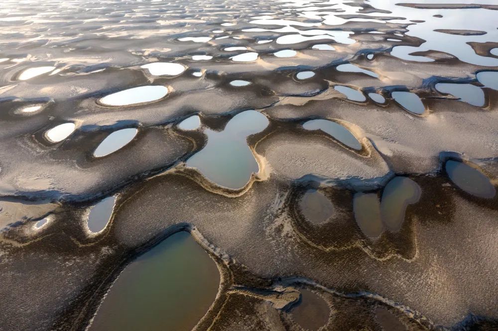 罗霍洲江滩,网红打卡地