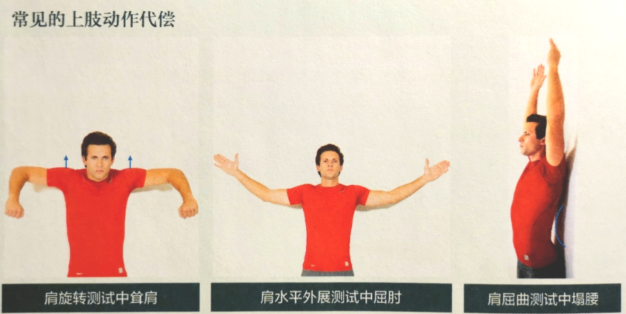肩关节损伤:耸肩