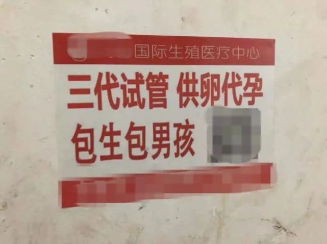 郑爽美国代孕生子?起底代孕市场:85万选性别,加10万有龙凤胎