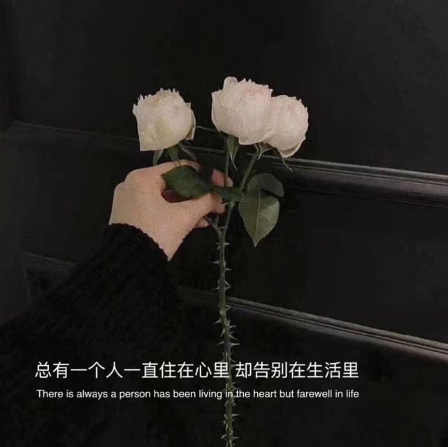 背景图|超火微信朋友圈背景图