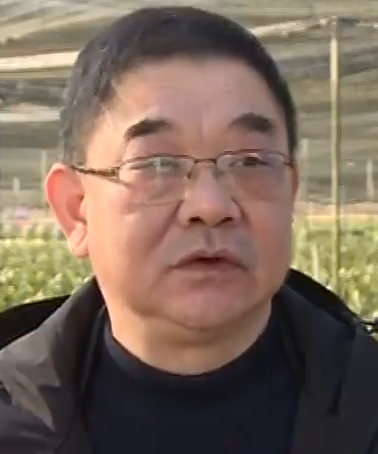 市兰花协会会长梁庆忠:想跟创意金山合作,提高我们花卉的文化品味,还