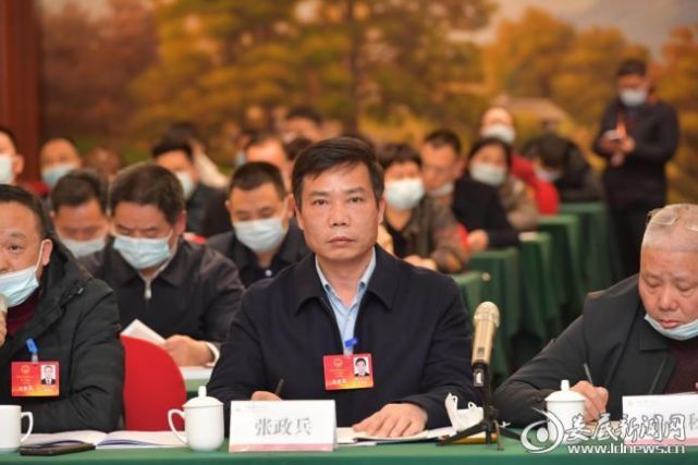 代表之声丨张政兵科学规划国土空间提供坚强土地要素保障