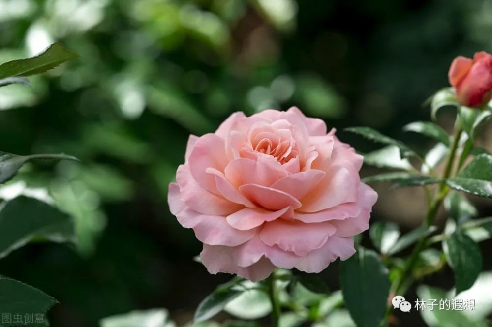 长夜未央 岁暮清欢 愿新的一年阳光满路 温暖如初 腾讯新闻