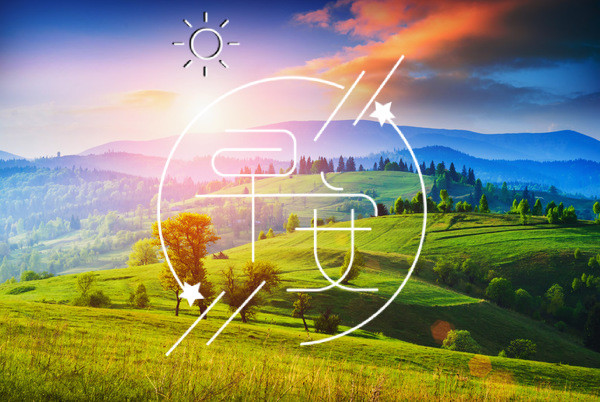 一声问候,把受伤的心灵抚慰;一条短信,把我的祝福传送:愿早上好心情!