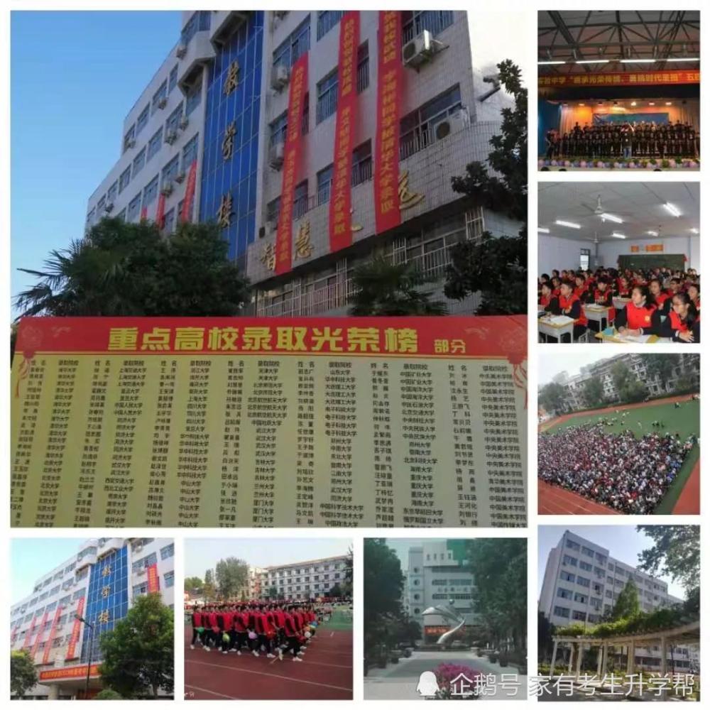 2020河南学校排名分_2020年使用河南美术统考成绩的艺术本科院校美术类