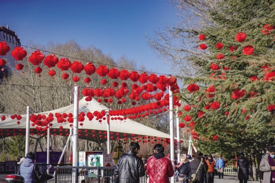 广场和宗角禄康公园都已挂上了鲜艳的红灯笼,迎接春节和藏历新年的到