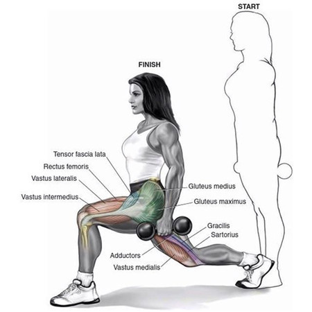 9个腿部训练经典动作图解