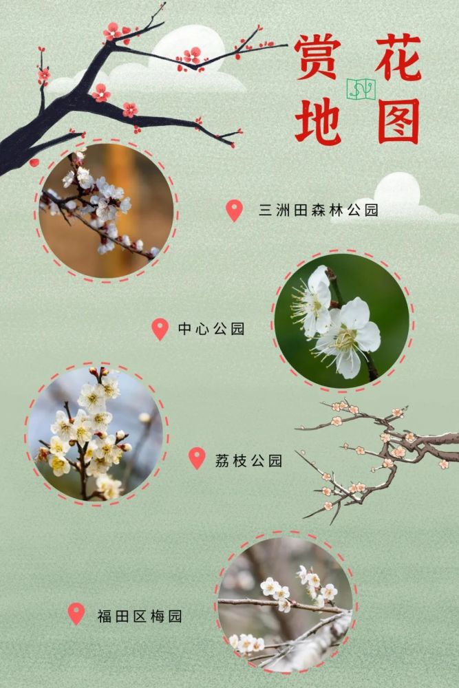 郊野又增新景区公园寒梅已著花赏花充分满足3-8岁儿童户外活动的需求