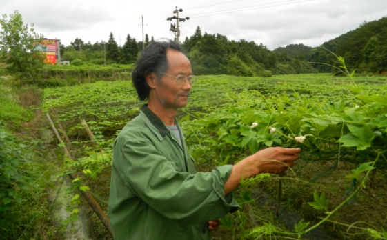 何家庆可能是中国最后一个"乞丐教授",真"傻"