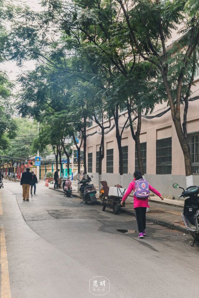 位于市中心的和平村,上临春城路,下至北京路,与吴井路比邻而居,整个