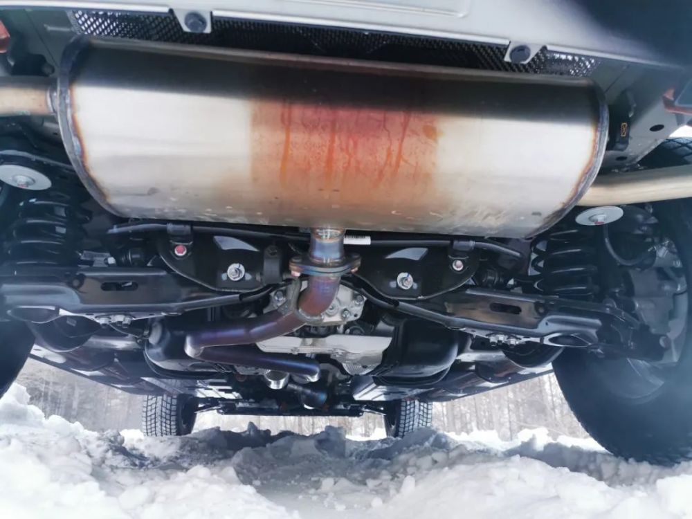 四驱的哈弗大狗是一条怎样的中华田园犬