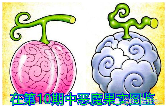 11期的杂志,酱铺君最欣赏的还是【恶魔果实图鉴】的栏目,上一次是滑滑