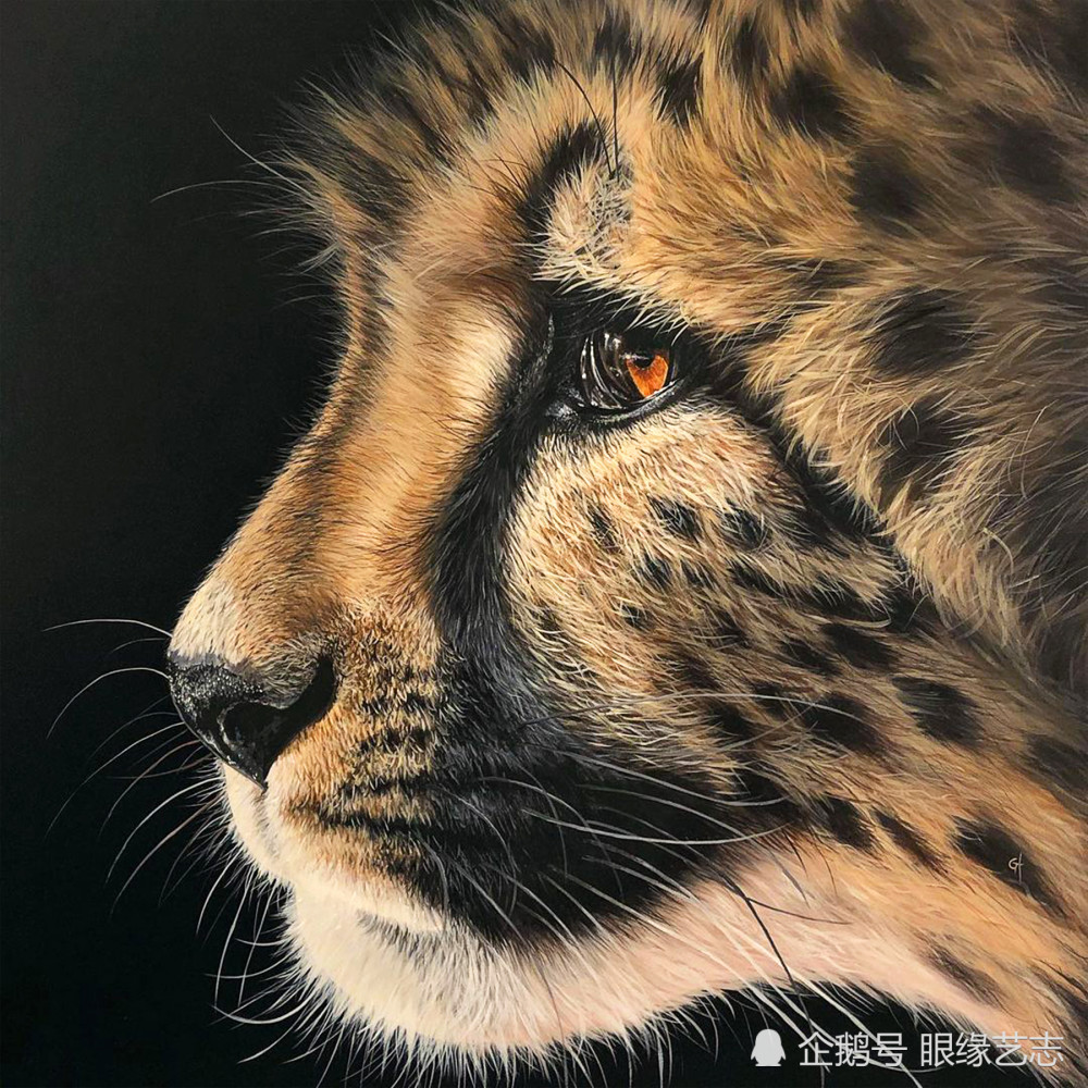 野性超写实回归原生之态凝视狂野的动物肖像画家