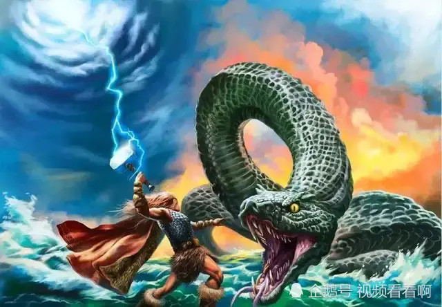 狂蟒之灾|亚马逊森蚺|泰坦巨蟒|化石|蟒蛇