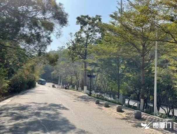 厦门文曾路怪坡路段路灯正式启用夜游照明有保障