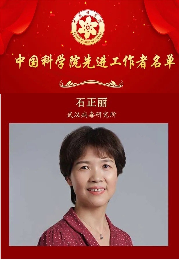 曾饱受质疑的石正丽现荣获中科院先进工作者今年能当选院士吗