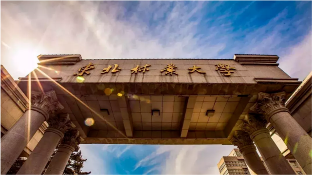 支付宝校园卡充值没了_支付宝校园卡充值没到账_充值校园支付宝卡没扣钱
