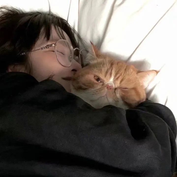抱猫咪头像太赞了