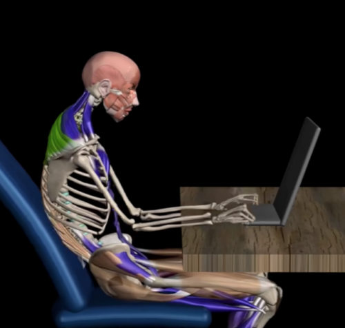 人体肌肉骨骼系统是以肌筋膜经线贯穿的拉力和张力均衡的张拉整体力学