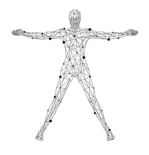 建立弹振,拉伸,再生,激活四大筋膜整合模型,还原