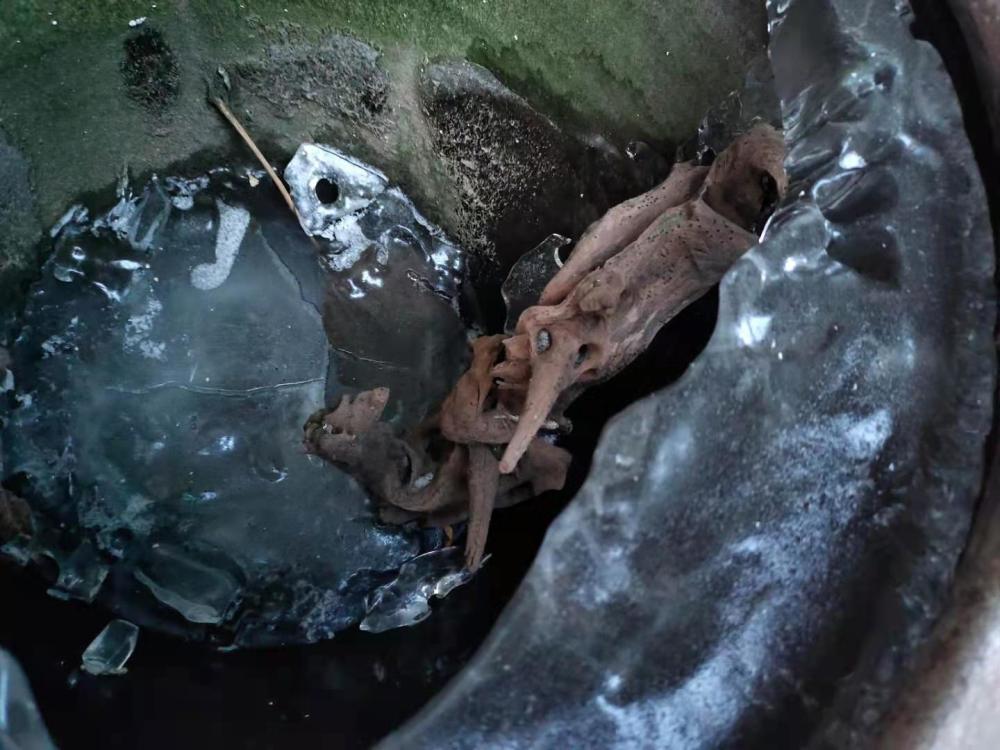 鱼缸内的菌膜也能爆缸这种情况少有出现主要问题在哪里