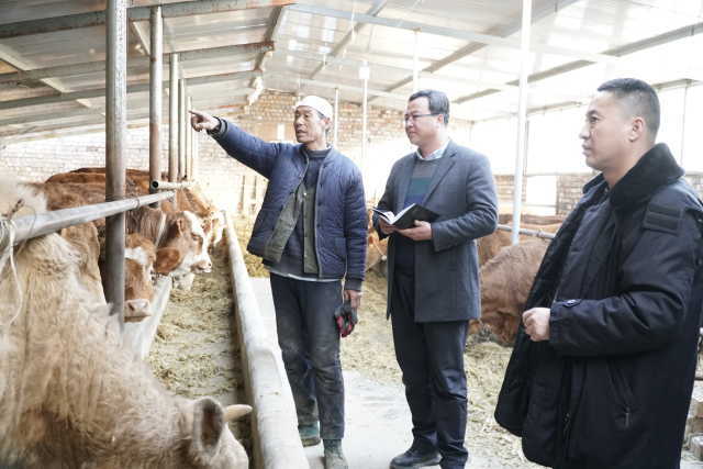 马有清的春耕曾经抵触贷款今年有个新目标