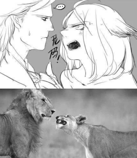 狮子拟人化,公狮子成妻管严,网友:把卑微打在公屏上_腾讯新闻