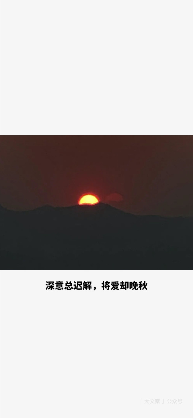 壁纸富士山终究留不住欲落的樱花