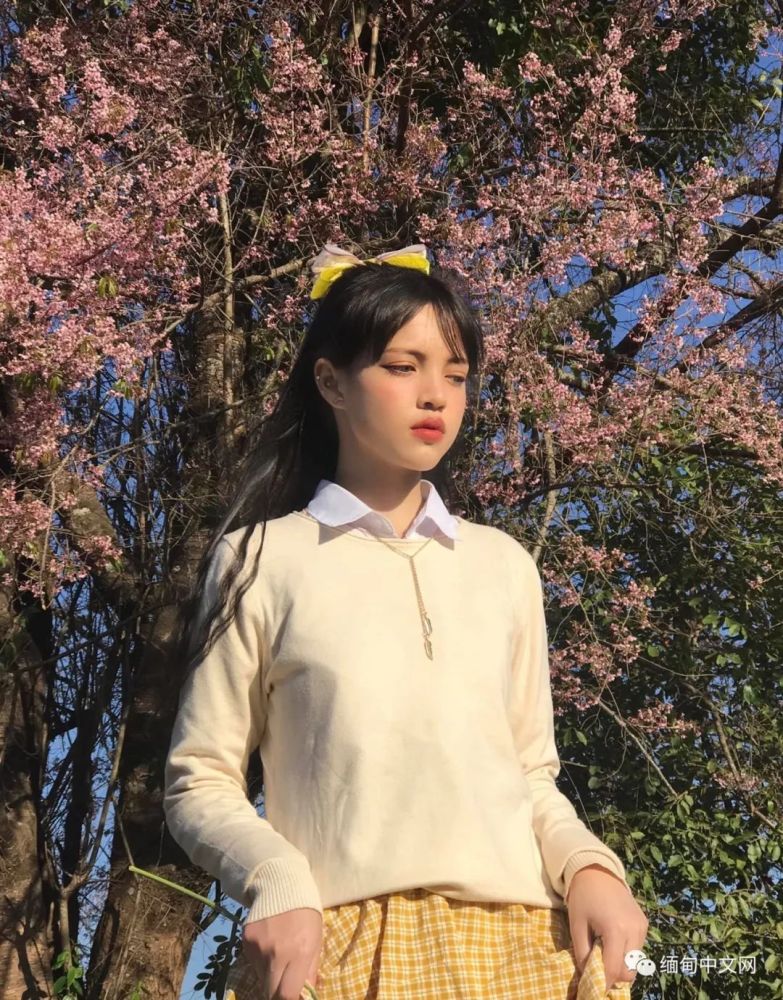 盛产美女的东枝即将诞生一个网红景点是小姐姐们的最爱