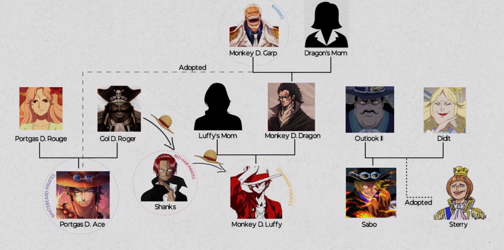 海贼王蒙奇d家族人际关系公示两位神秘女性至今没公布真实身份