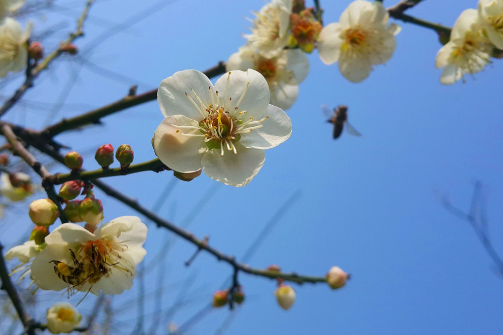 廣州一公園