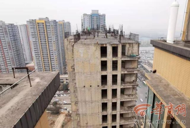 家猫误闯西安一烂尾楼主人无法进入工地在自家楼顶隔空喂猫