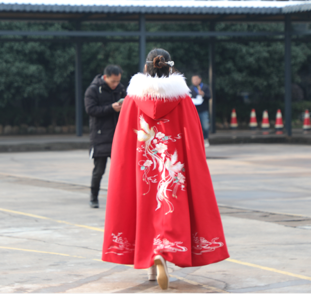 《红楼梦》的冬日穿搭指南,没有最美只有更美,拿走不客气|林黛玉|斗篷