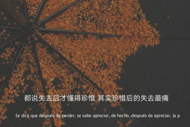 "戳中你泪点的意难平文案"