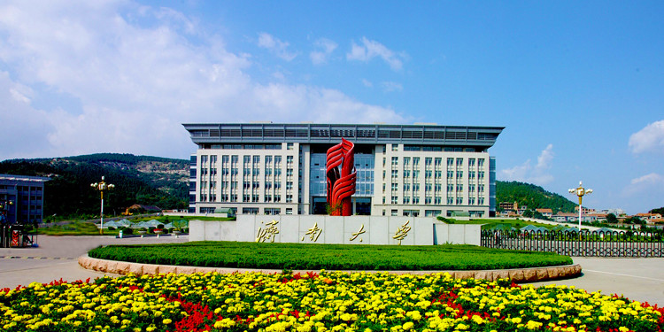济南大学2020年河南省高考录取分数线统计