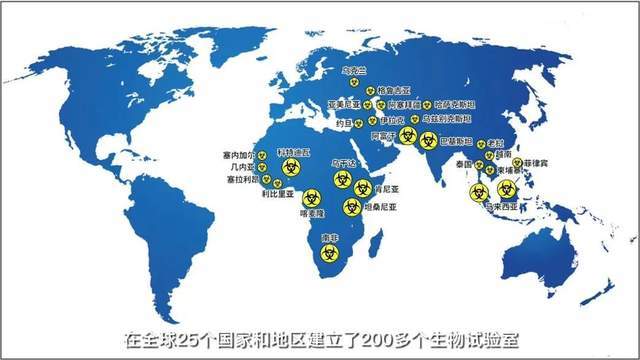 新冠人口比_中国肥胖人口占比(2)