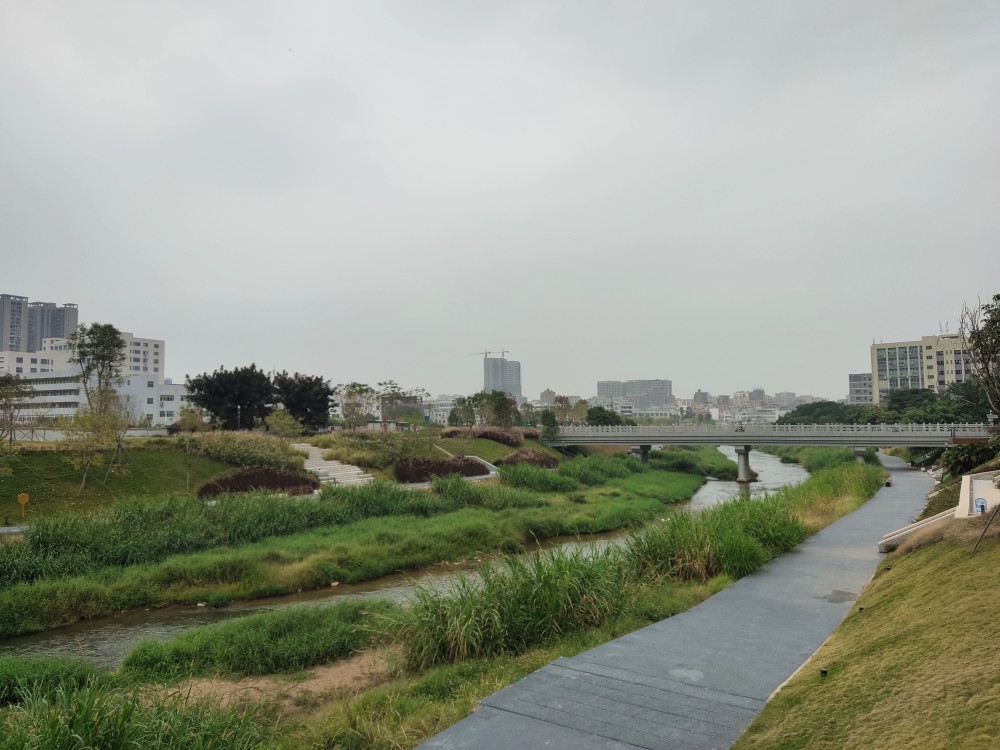 深圳宝安区第一大河流-公明洋涌河.