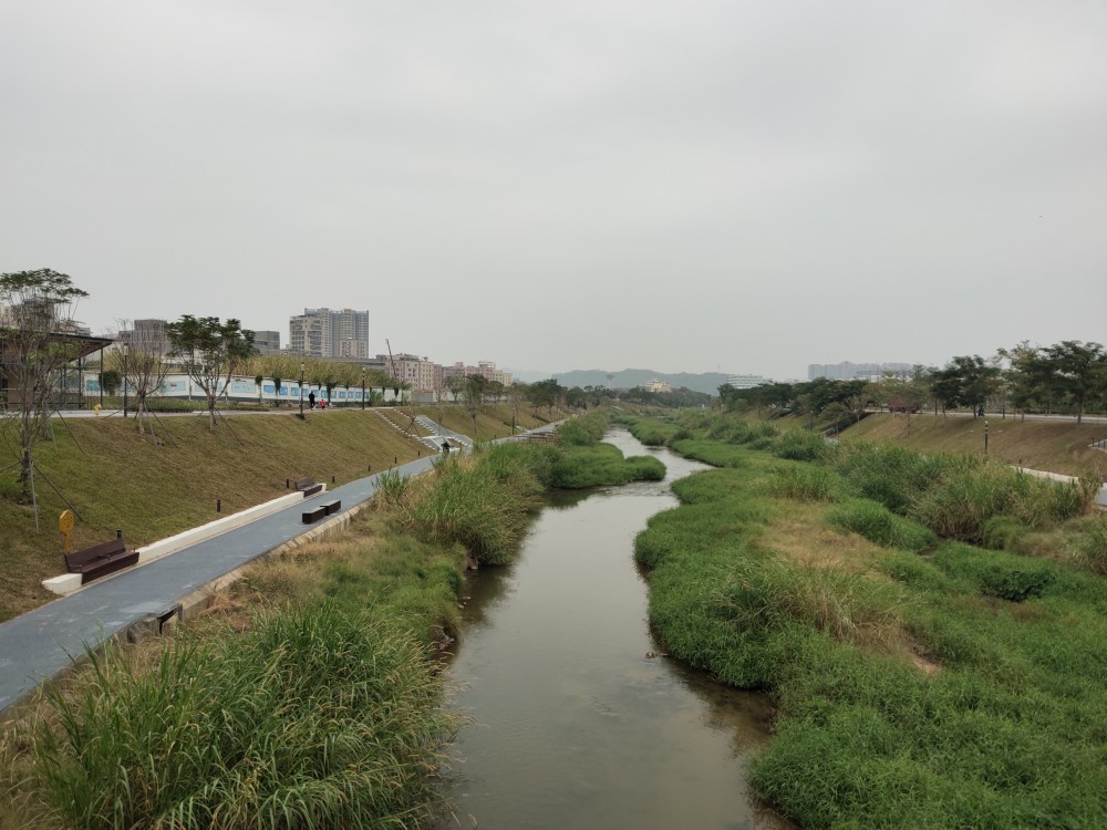 深圳宝安区第一大河流-公明洋涌河.