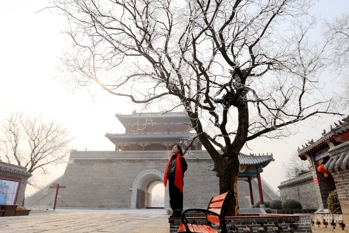 美极了!无棣古城雾凇美景 宛如冰雪世界