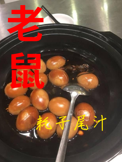 浙江大学食堂出现老鼠,网友:希望你耗子尾汁_腾讯新闻